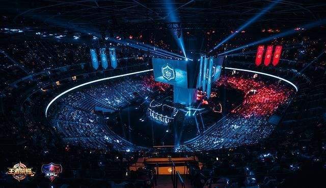 应的原因不 应的原因不